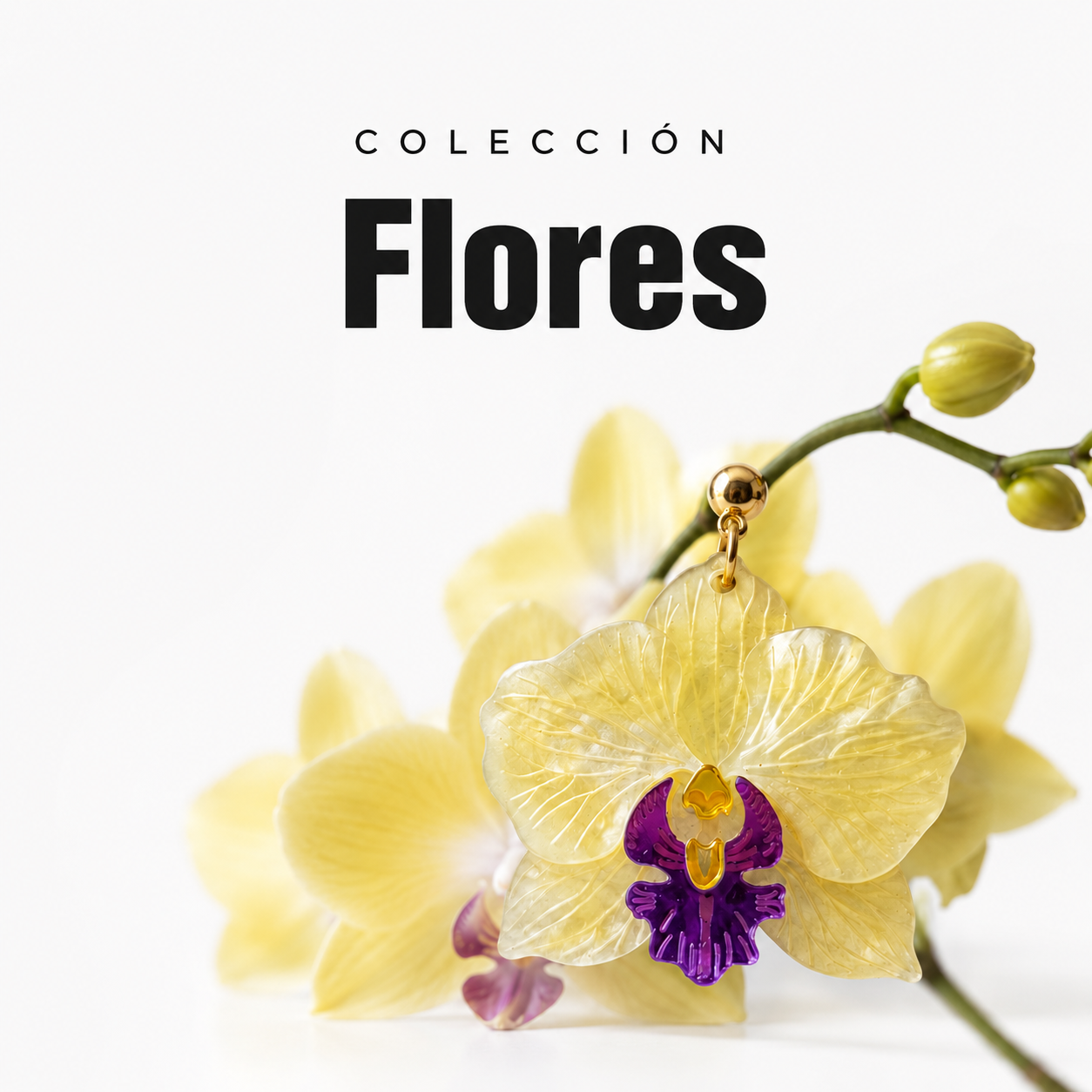 FLORES