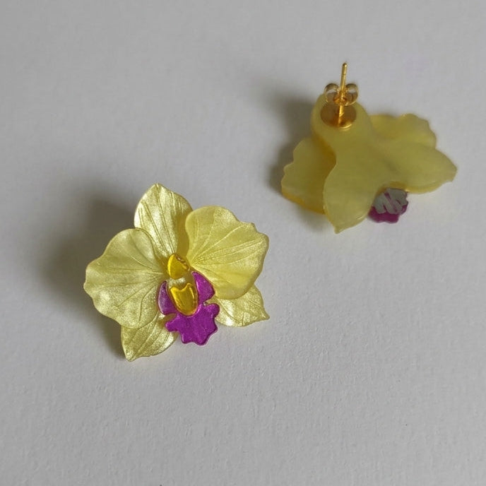 Orquídea pequeña amarilla pegada