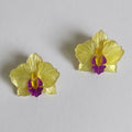 Orquídea pequeña amarilla pegada