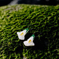 Fonil o Cala mini