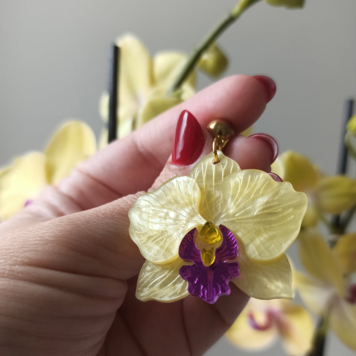 Orquidea grande amarilla
