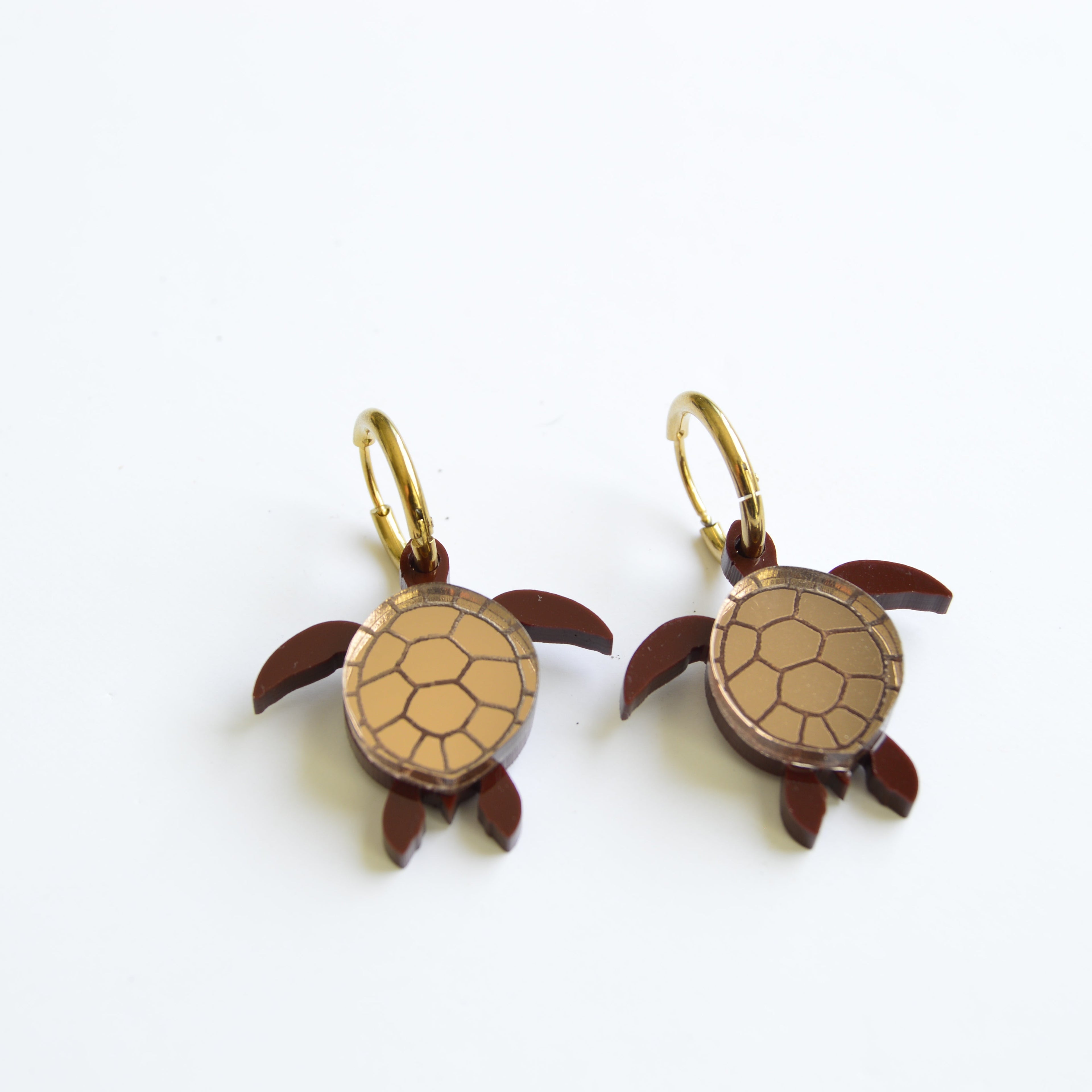 Tortuga Marrón