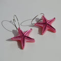 Estrella de Mar Rosa