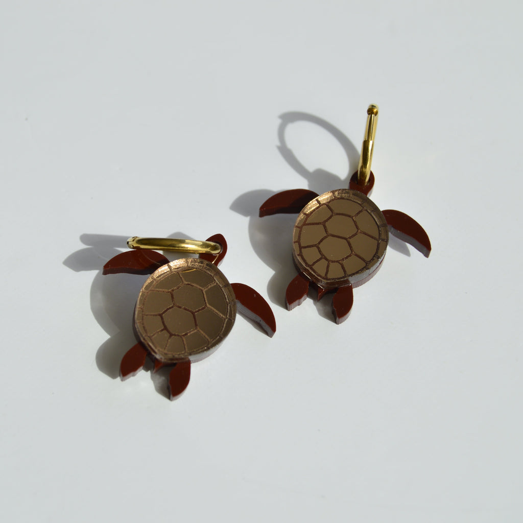 Tortuga Marrón